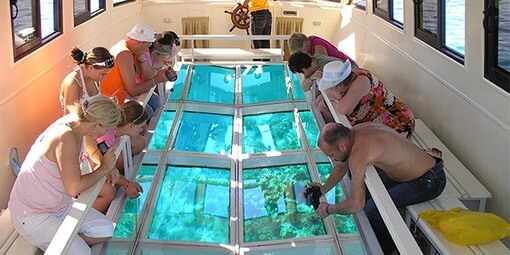 Private Glass Boat Tour in Hurghada with Coral Reef Viewing and Red Sea Marine Life Experience