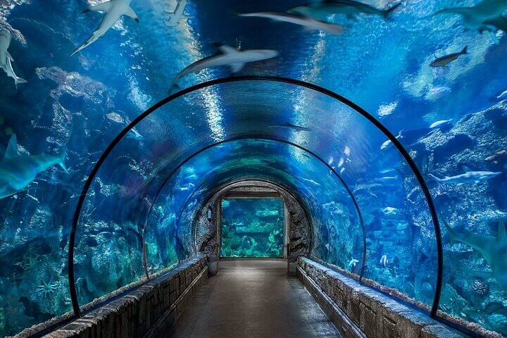 Hurghada Grand Aquarium Day Trip