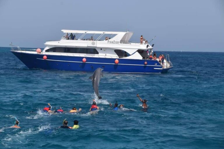 Dolphin House VIP