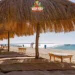 Hula Hula Island VIP 1