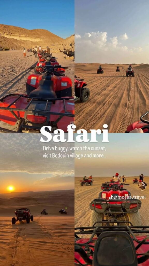 Super Safari (8/9)