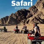 Super Safari VIP 1