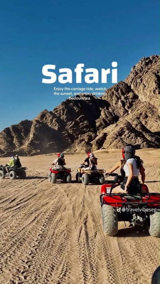 Super Safari (9/9)