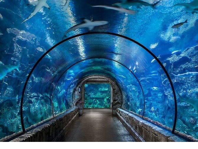 Grand Aquarium